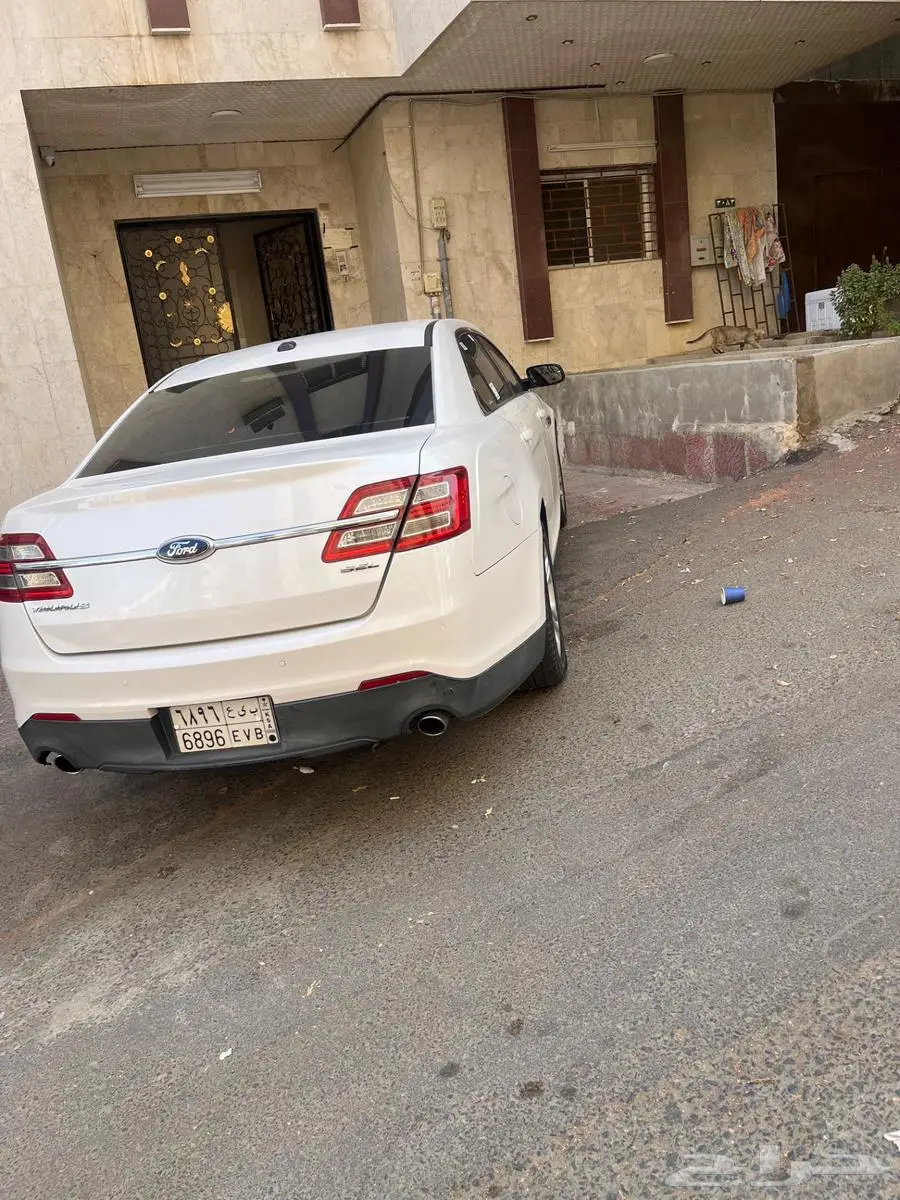 تورس 2013 5