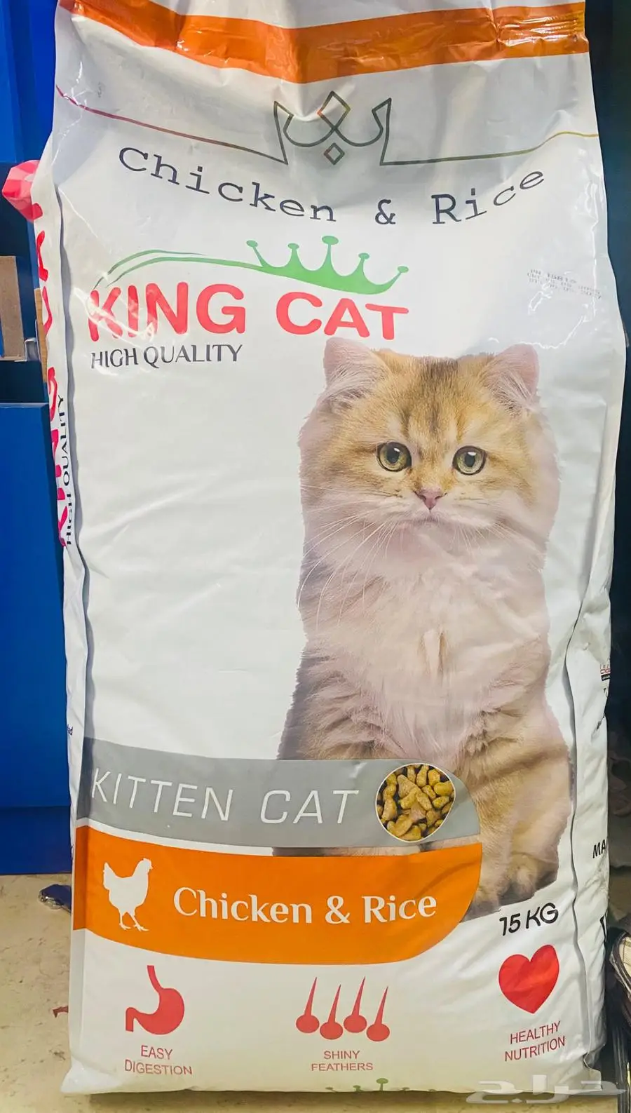 قطط 0