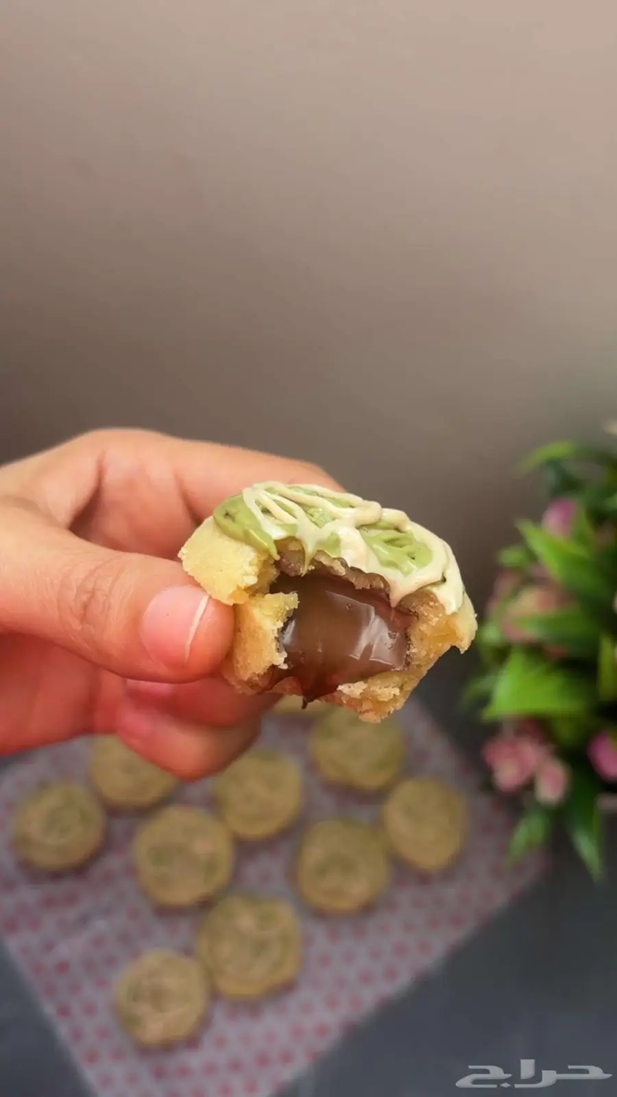 العارضه 6