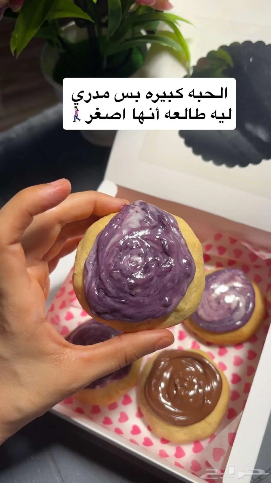 العارضه 3