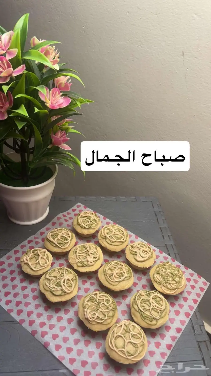 العارضه 5