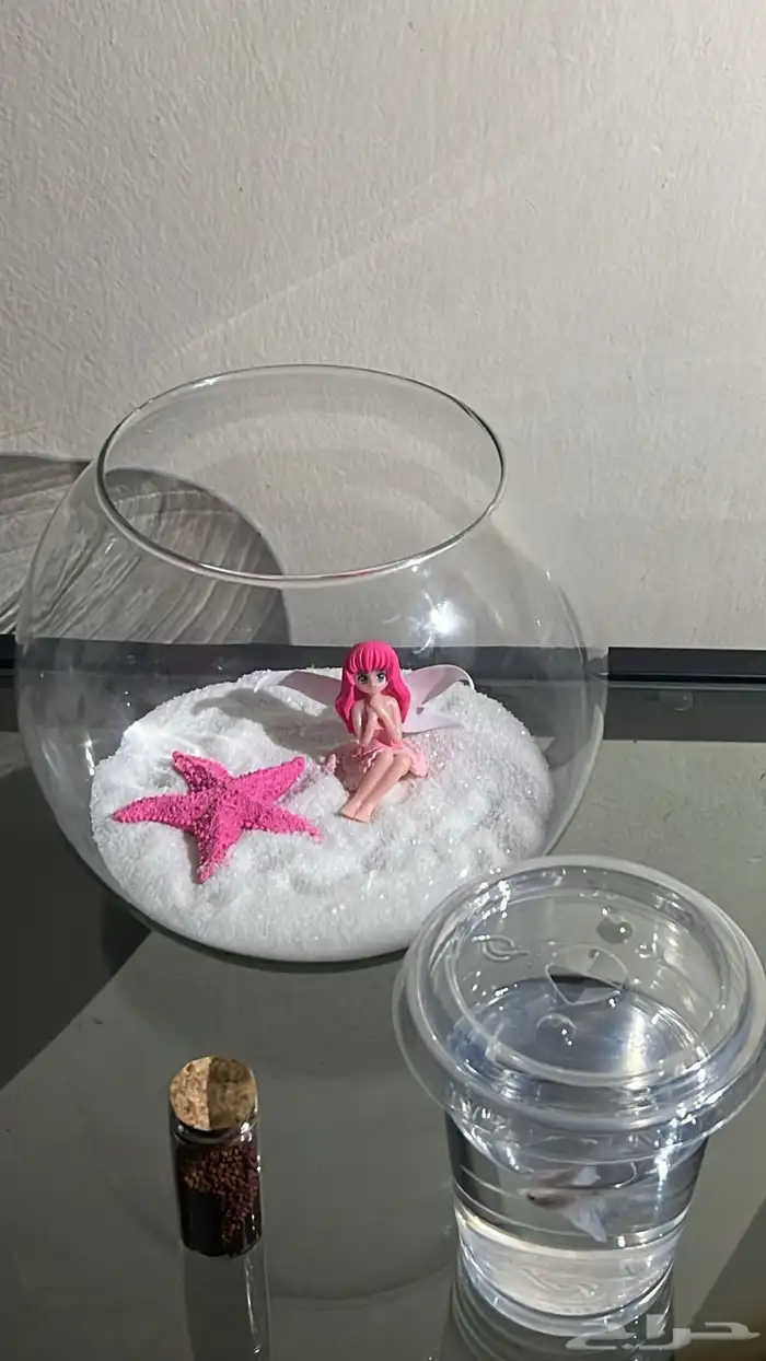 اسماك فايتر ( زينه مع التنسيق ) 4