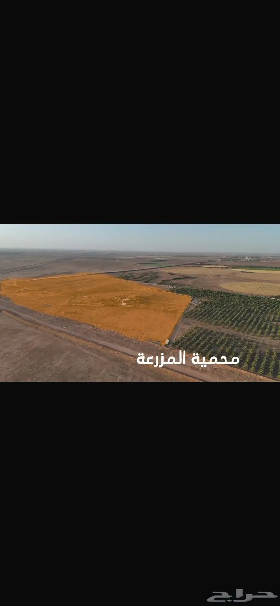مزرعة و محمية للبيع مزارع للبيع 1