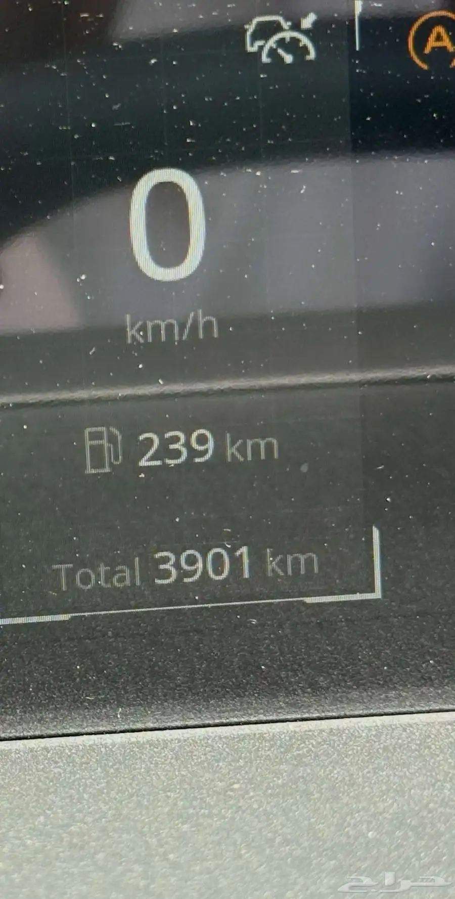 شنجان ايدو ليمتد 2025 8