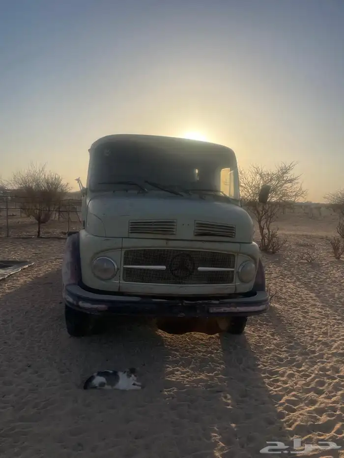 وايت ماء حسنيه موديل 1974 1