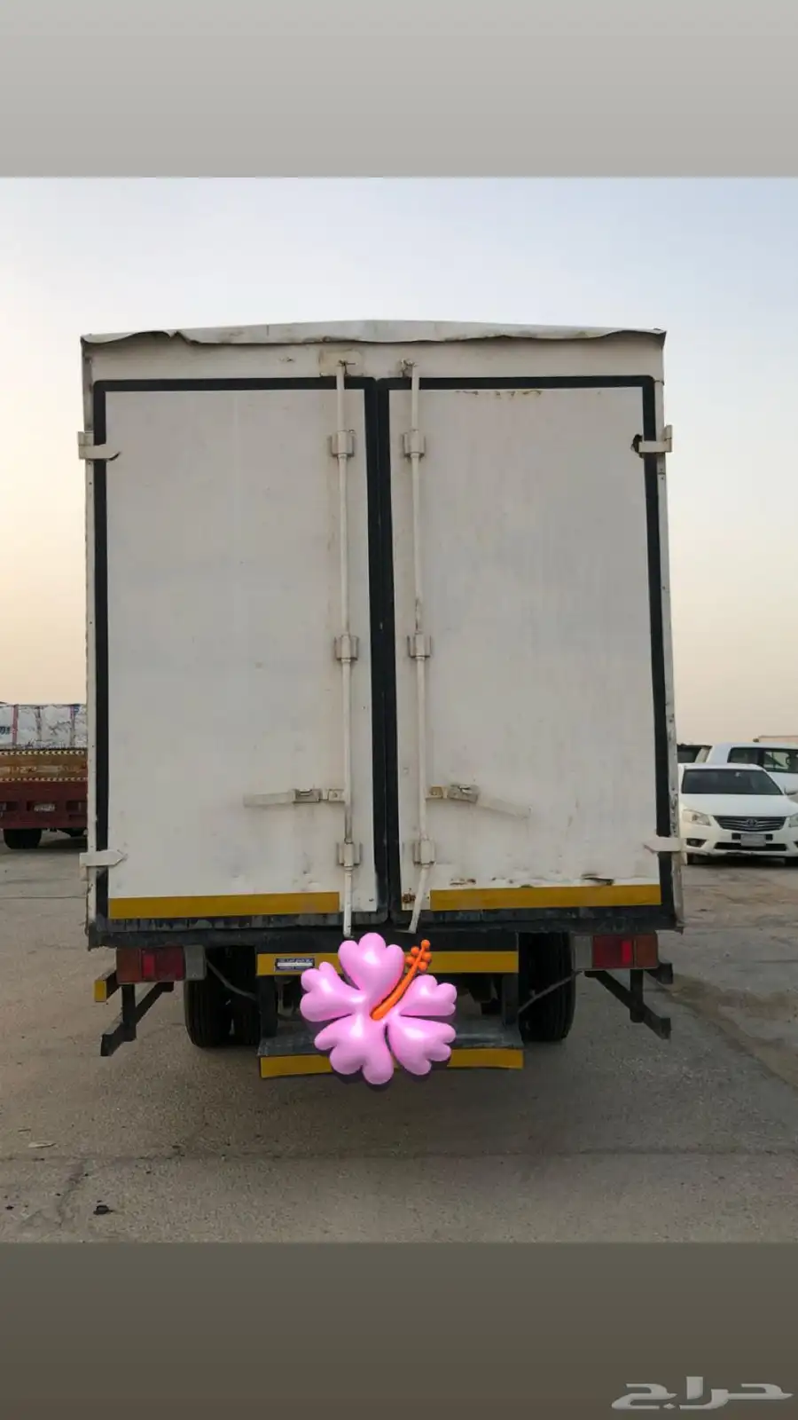 دينا ايسوزو 2002 1