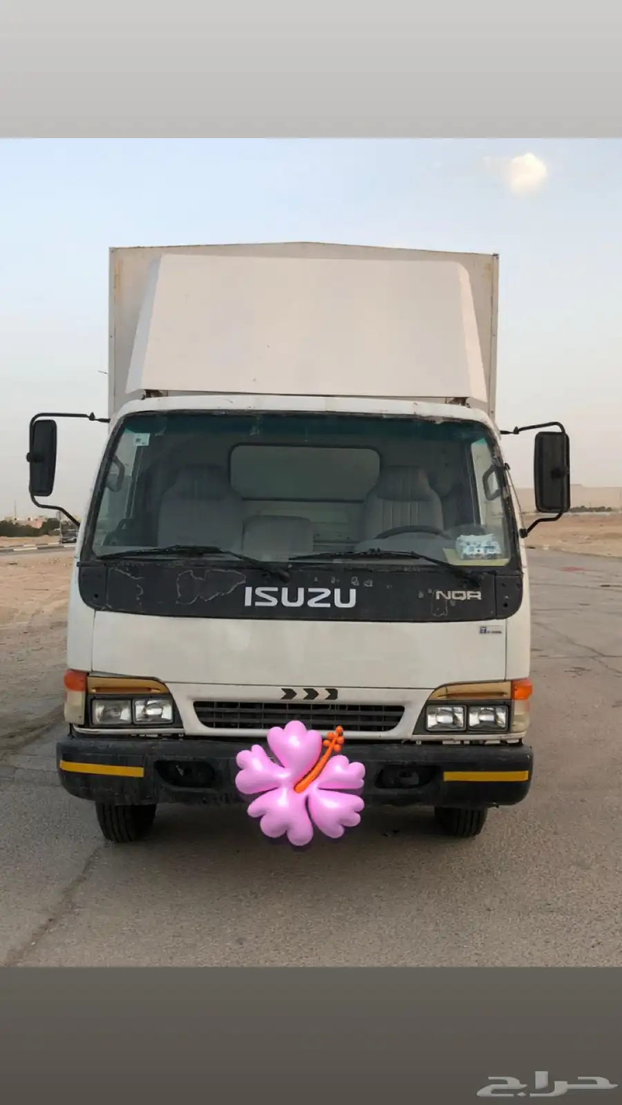 دينا ايسوزو 2002 0
