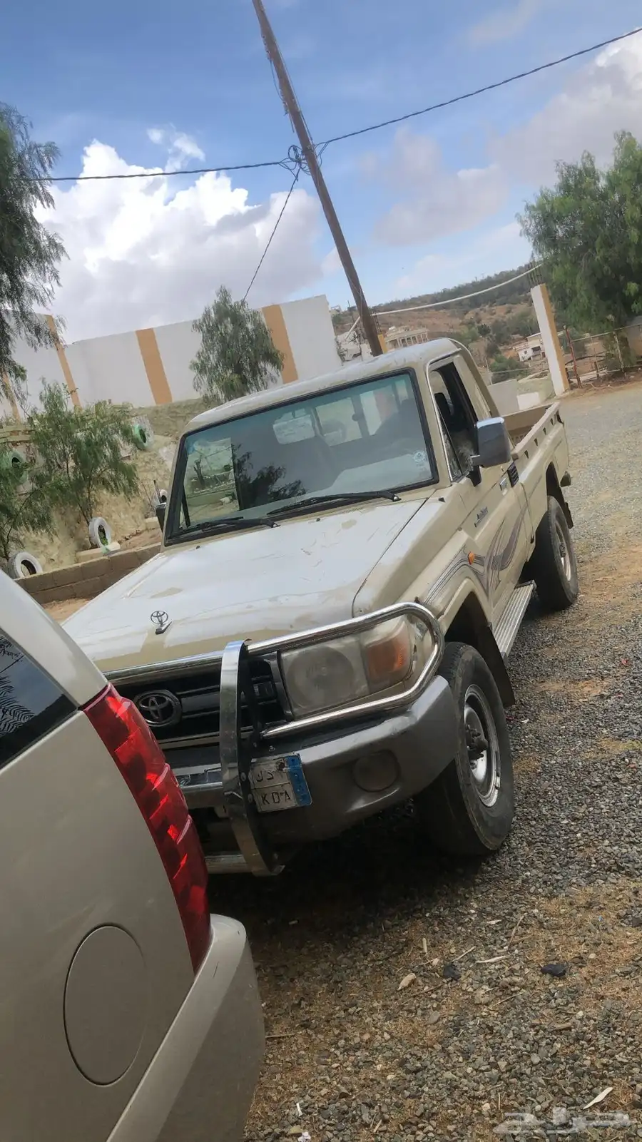 شاص2008 0