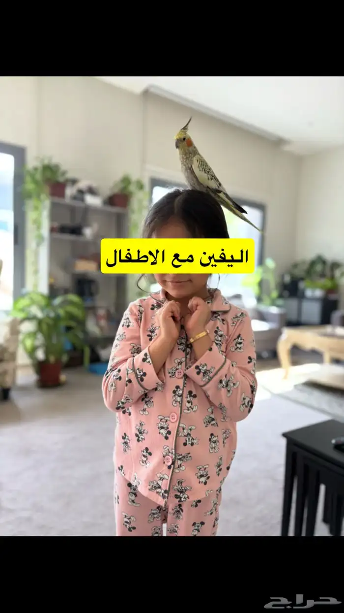 زوج كروان اليف منتج مع اثنين فروخ نهاية غر 5