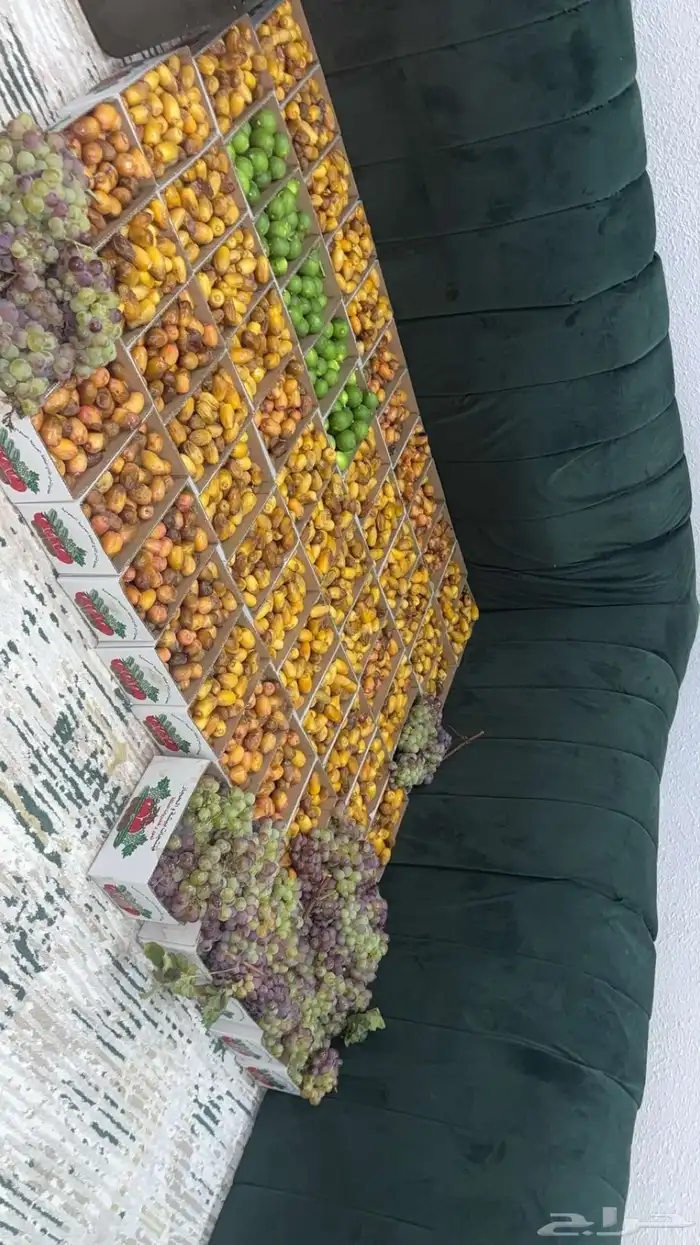 تمر صفري-شكل-عنب 0