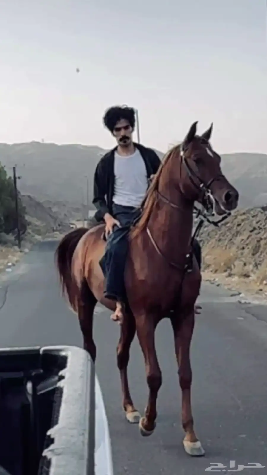 خيل 2