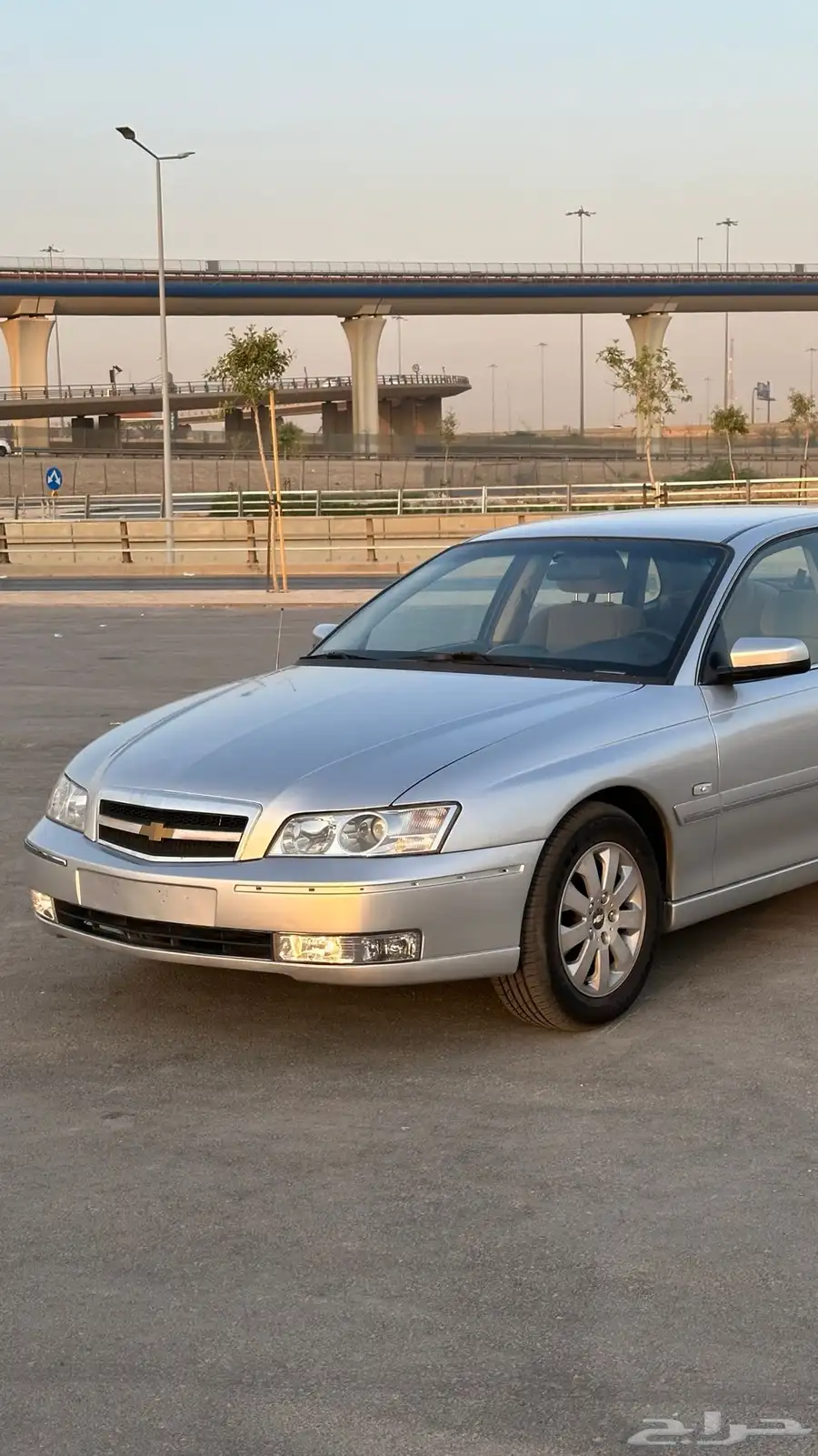 كابرس 2006 4