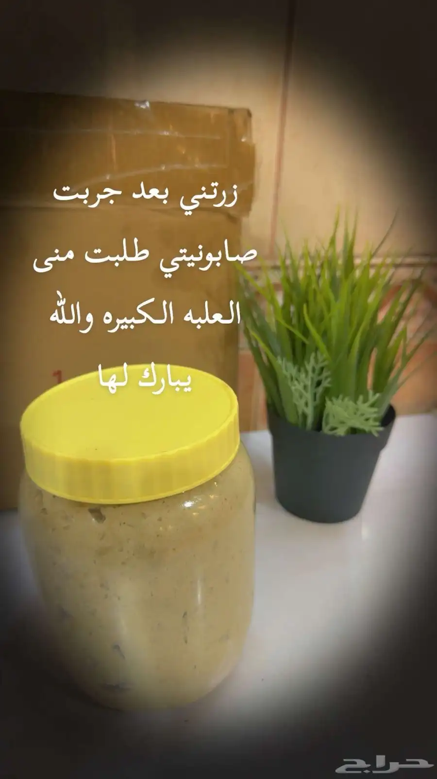 خلطات 24