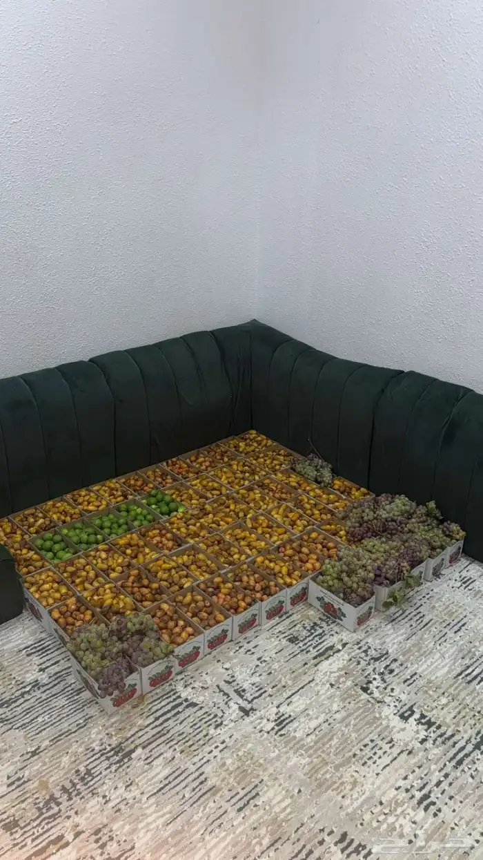 تمر صفري-شكل-عنب 1