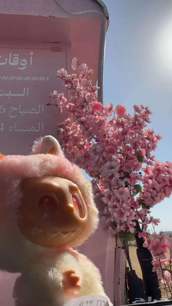 دمية لابوبو جملة 0