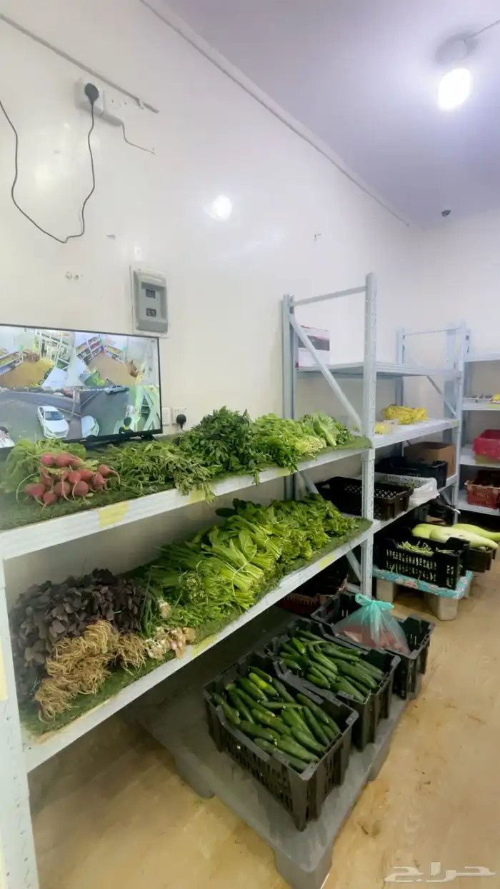 محل خضار للبيع 3