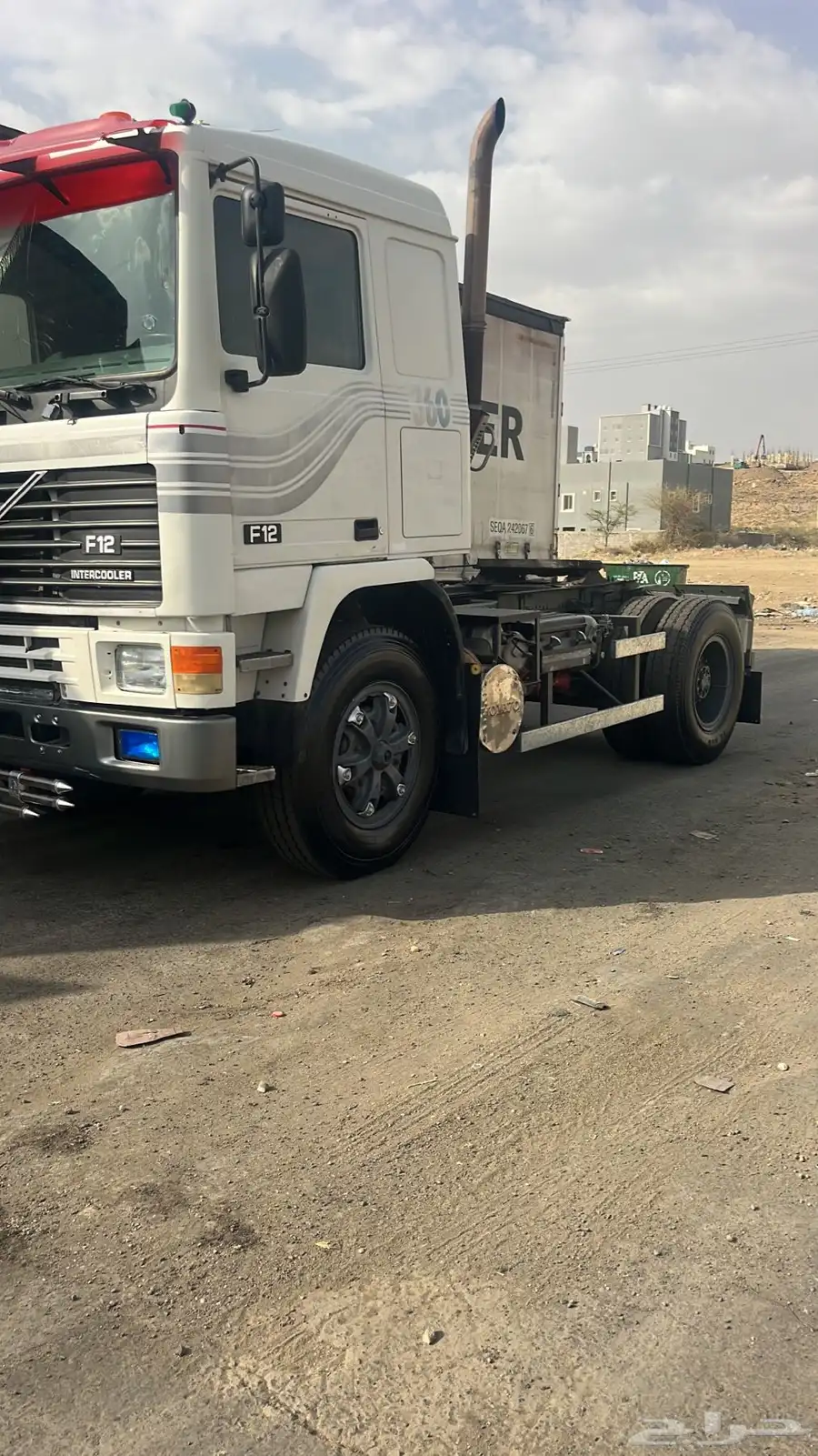 فلفو الزاهد 1991 1