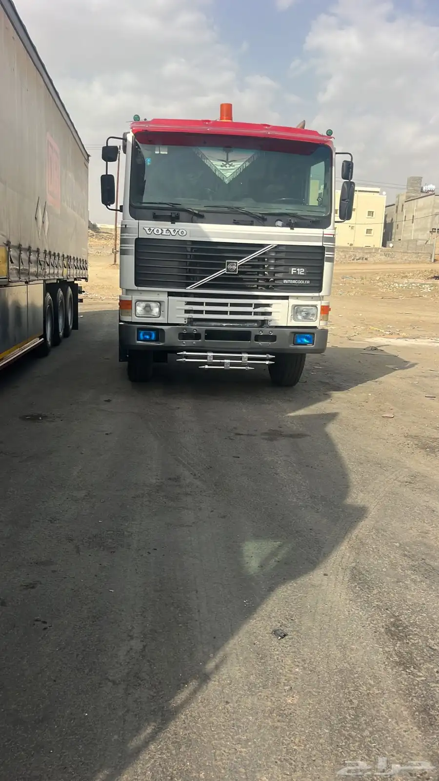 فلفو الزاهد 1991 0