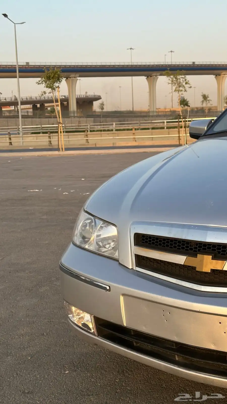 كابرس 2006 23