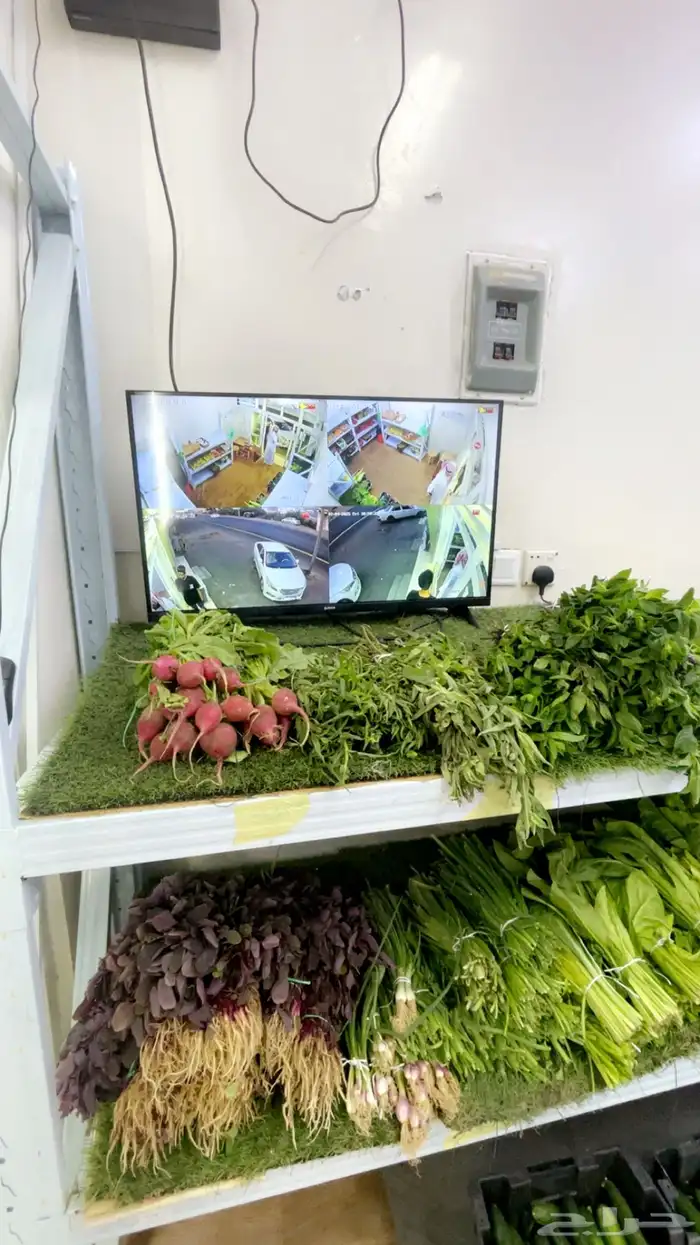 محل خضار للبيع 2