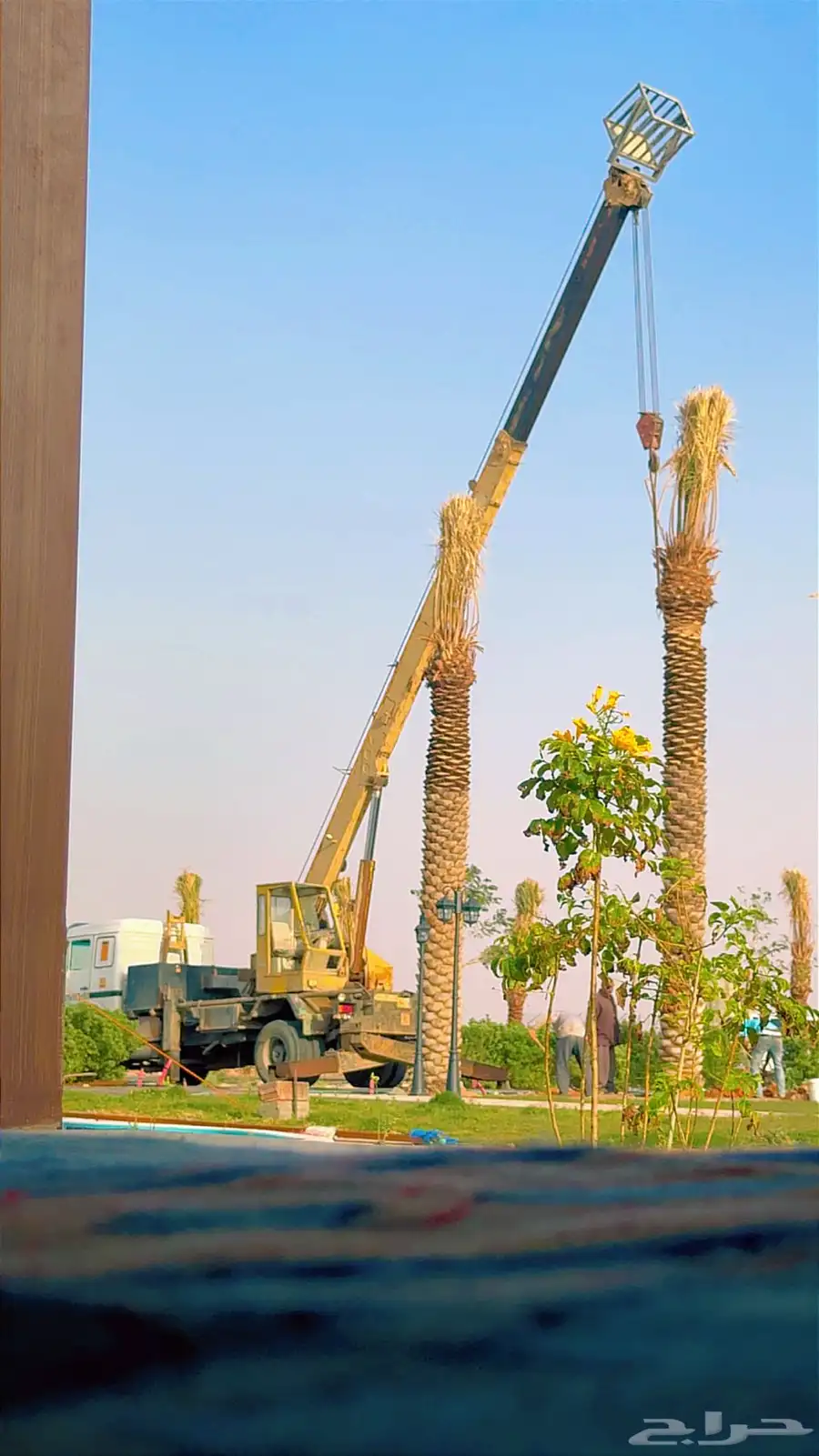 كرين ونش للإيجار 6