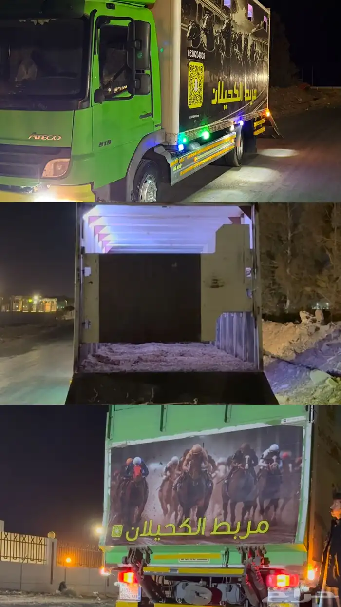 عربه خيل توصيل خيول 0