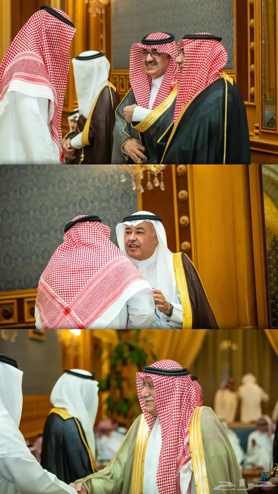 مصور 5