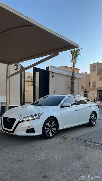 التيما 2019 sv 3