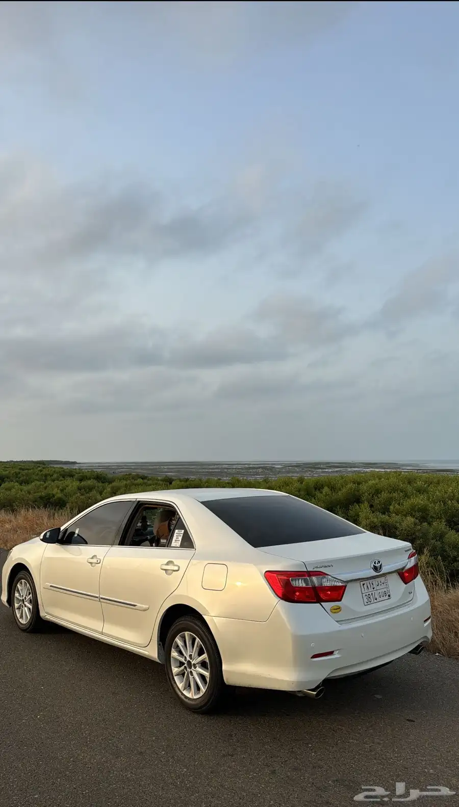 اوريون تورنق 2013 2