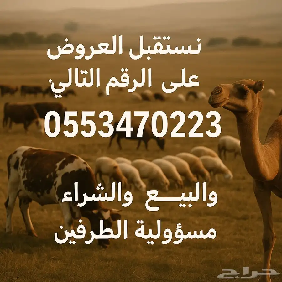 تيوس 21