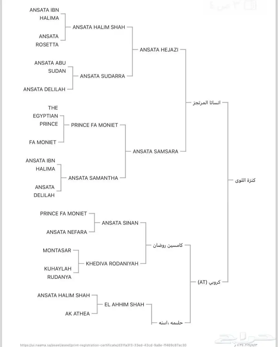 فرس مصريه باوراق 5