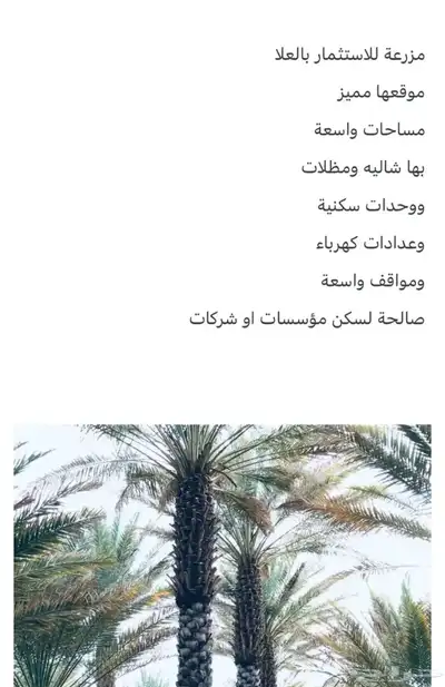 مزرعة 0