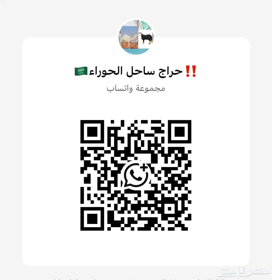 بيع وشراء الأبل والأغنام 0