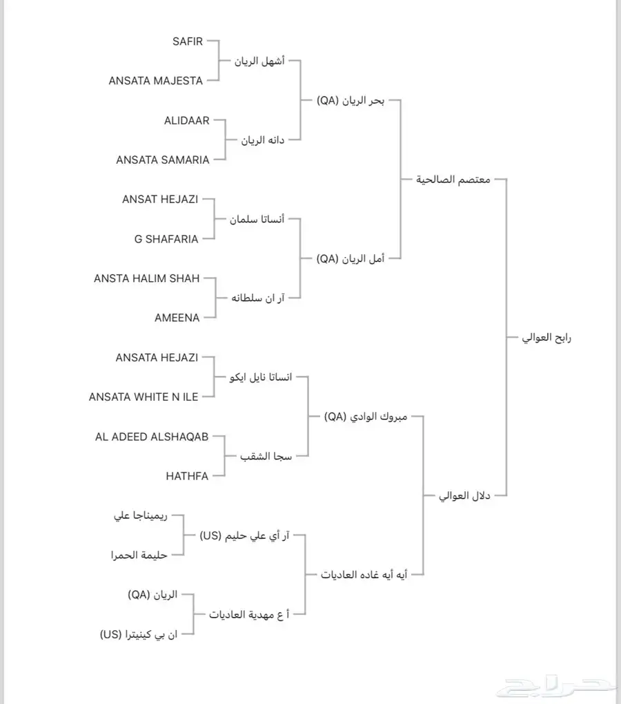 حصان واهو 3