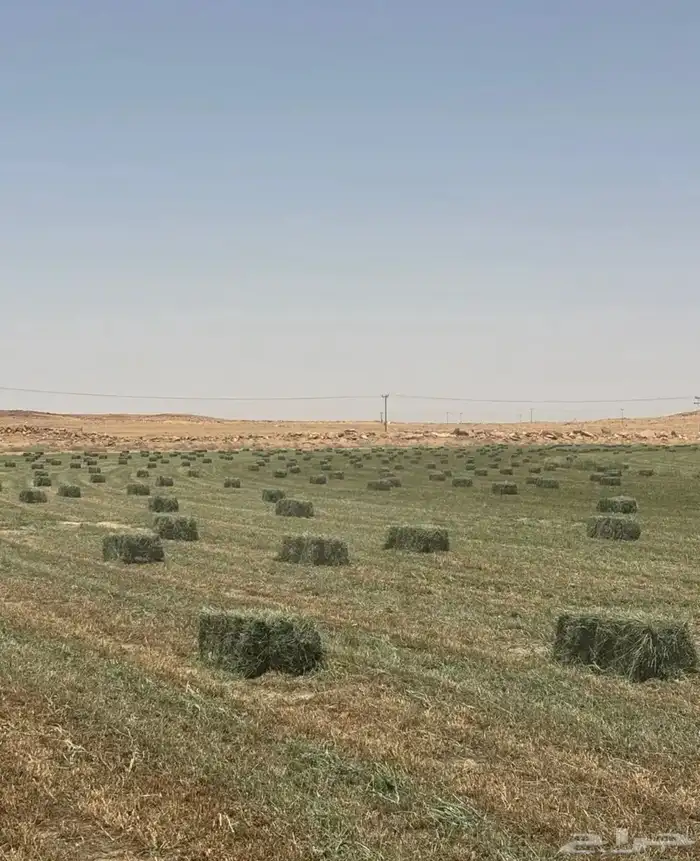 بلوبنك جديد مقاس 90 .85 كبير وزنه طيب 0