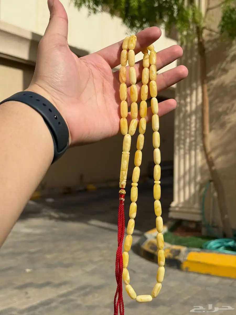 كهرمان صنوبري 3