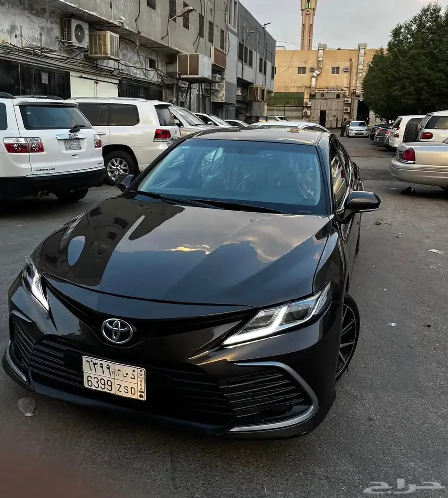 ورشة علم زين 20