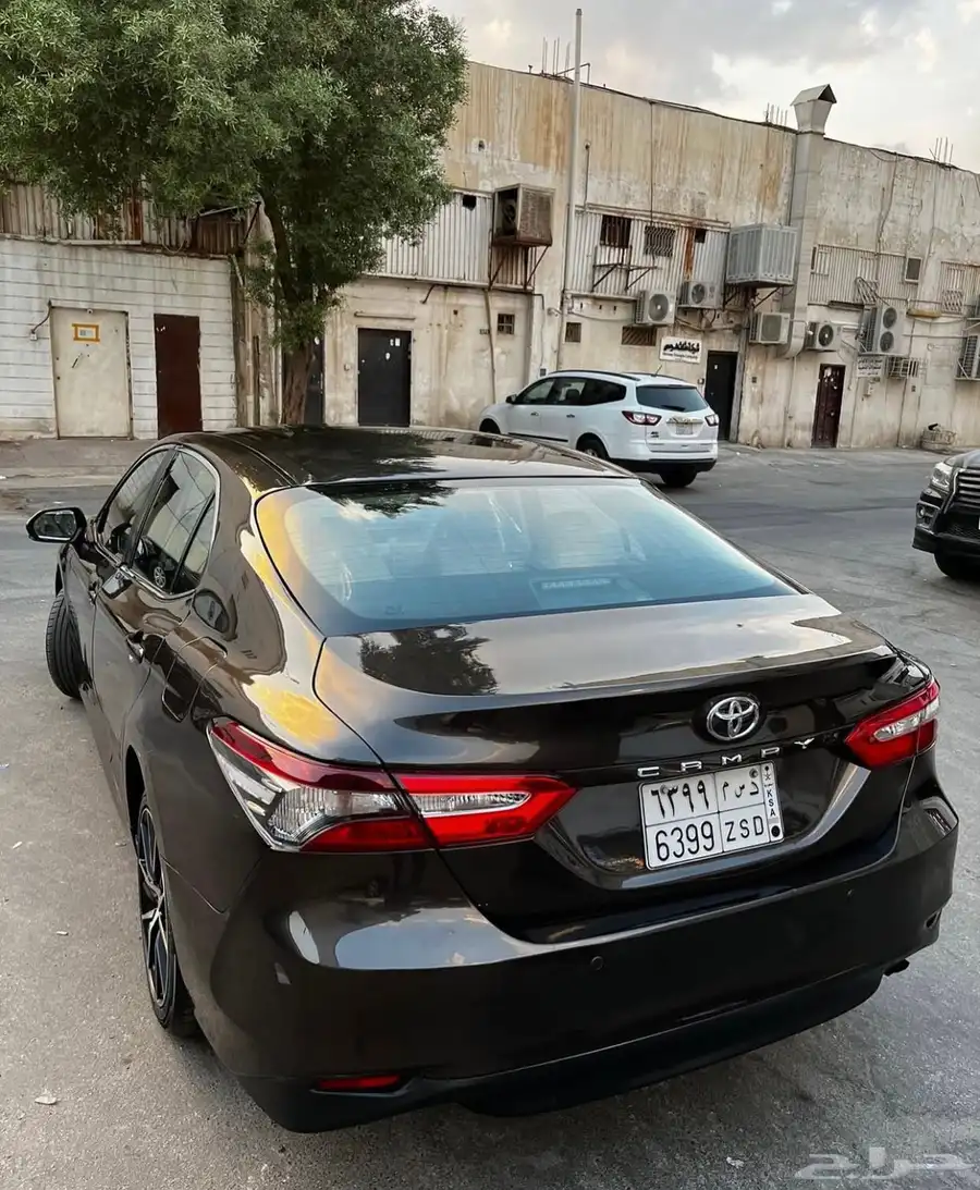ورشة علم زين 23