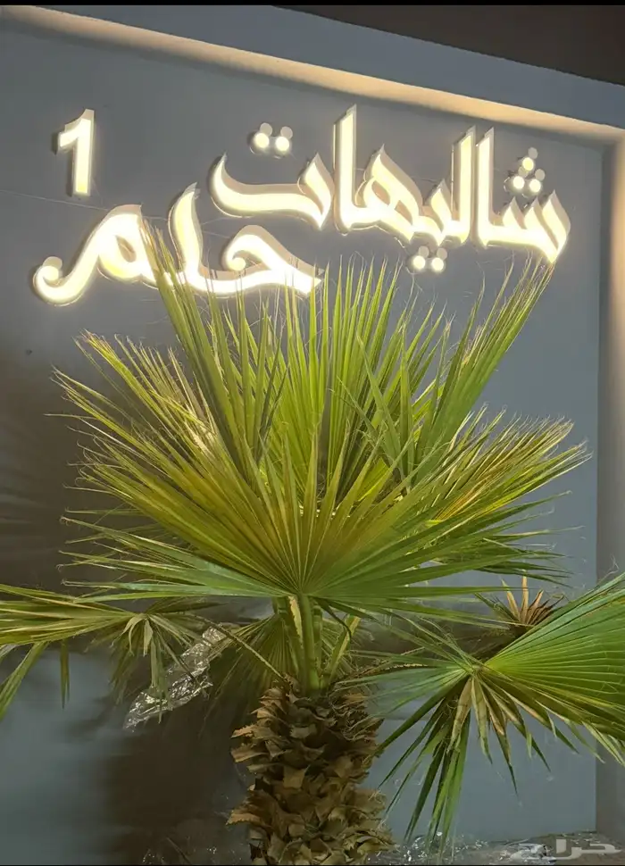 شاليهات حلم للايجار اليومي بيشة 2