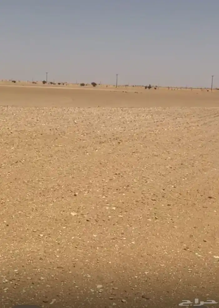 للبيع ارض زراعيه في الافلاج المساحه 160 الف فيها بير وعقم 0