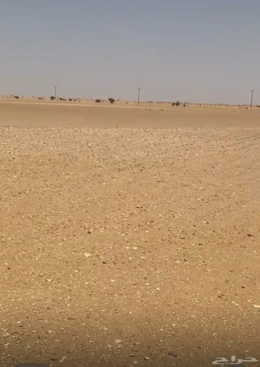 للبيع ارض زراعيه في الافلاج المساحه 160 الف فيها بير وعقم 0