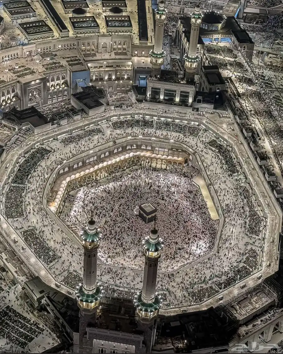 شقه او دور 0