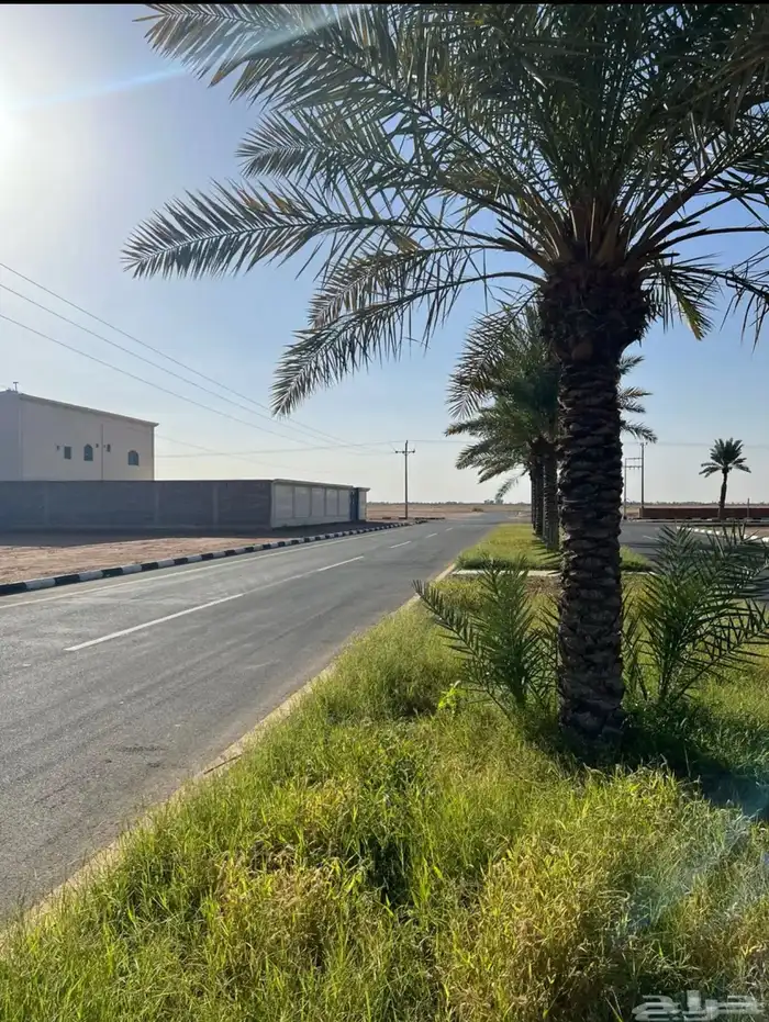للبيع ارض تجارية بالقاعد غرب دوار الفنجال موقع مميز للمحلات 1