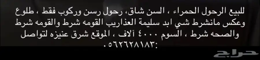 رحول حمراء 0
