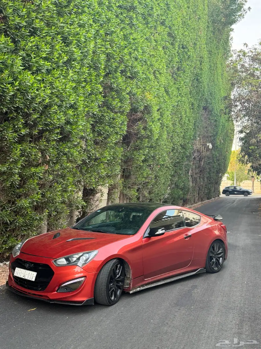 جنيسس كوبيه 2013 17