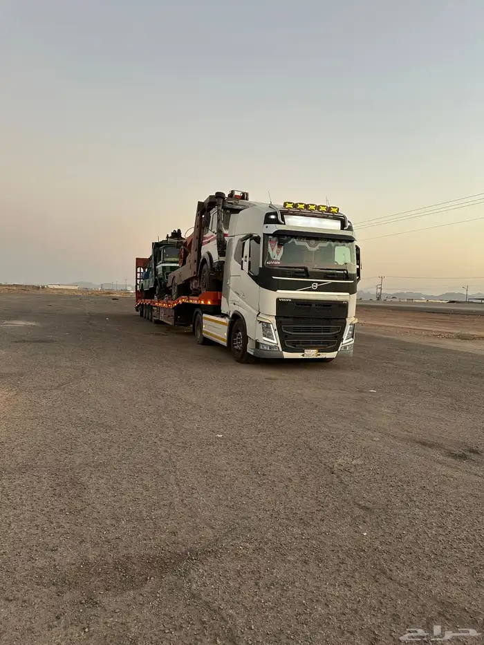 لوبد متواجد في طبرجل 0