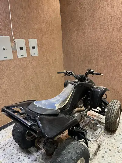 دباب 1