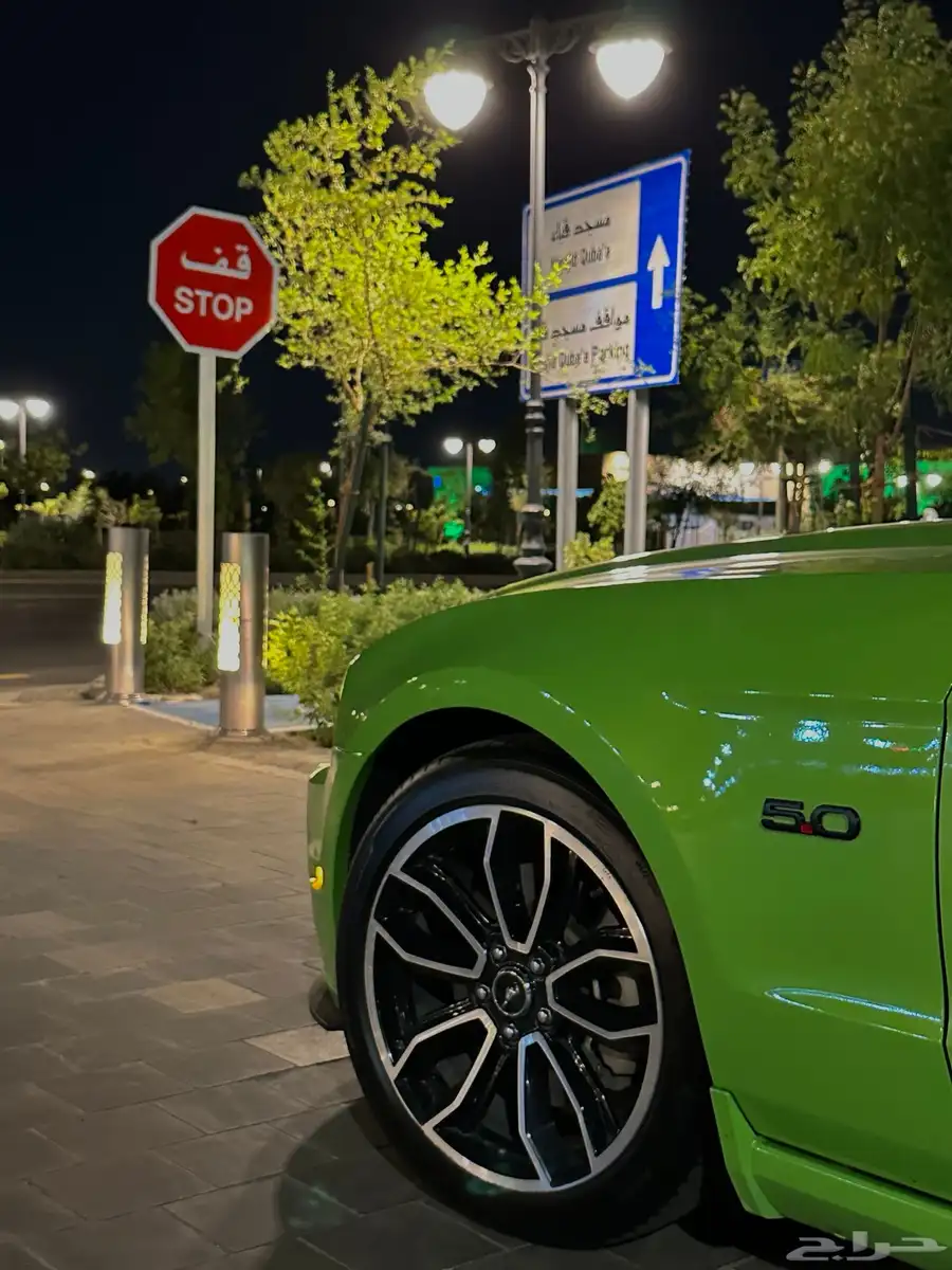 موستنج GT 2013 بانوراما 15