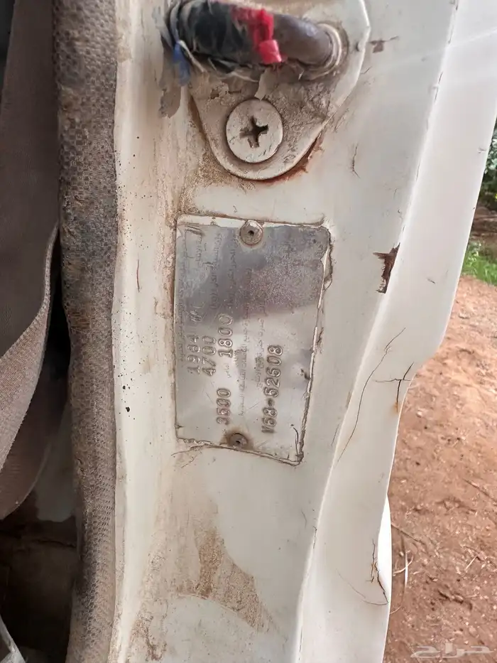 دينا قلاب 84 6