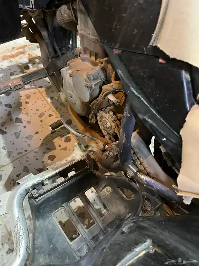 دباب 6